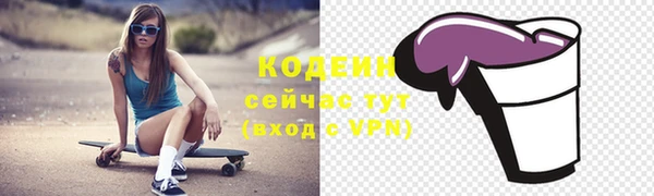 дурь Новодвинск