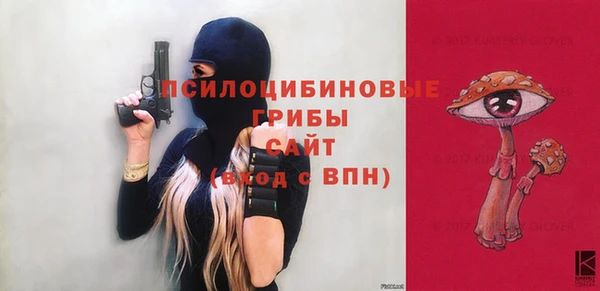 дурь Новодвинск