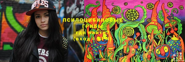 мет Новозыбков