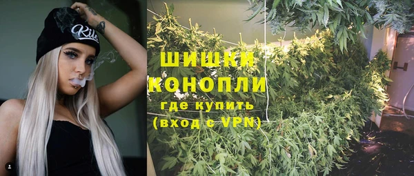 мет Новозыбков
