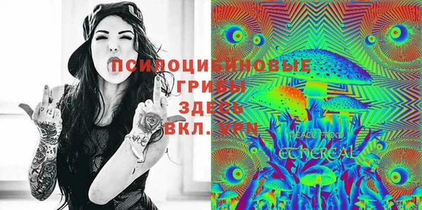 ешки Весьегонск