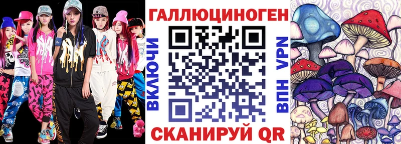 Галлюциногенные грибы Psilocybine cubensis  Красноуфимск 