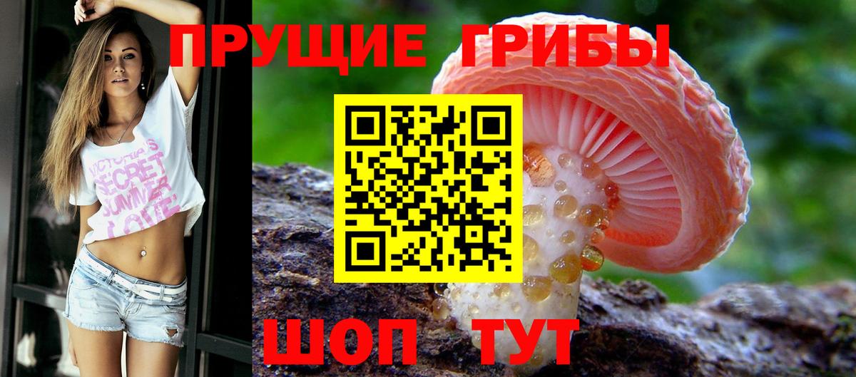 Галлюциногенные грибы прущие грибы  Галлюциногенные грибы мицелий  Красноуфимск  Вход с VPN 
